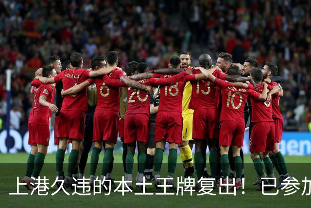 上港久违的本土王牌复出！已参加俱乐部训练，曾多次入选国足