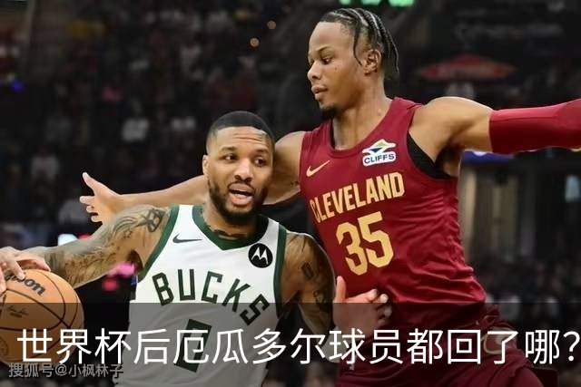 世界杯后厄瓜多尔球员都回了哪？输给墨西哥后他们各归其主